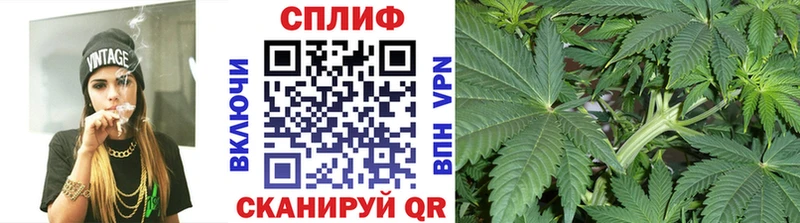 Марихуана White Widow  где найти наркотики  Болохово 